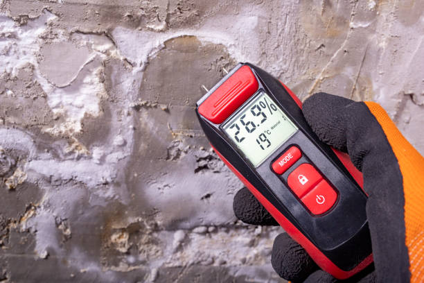 Best Attic Mold Remediation in Buies Creek, NC