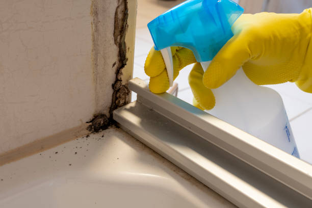 Buies Creek, NC Mold Remediation Company